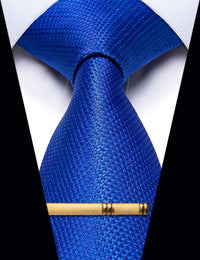 YourTies Royal Blue Solid Silk Necktie with Golden Tie Clip