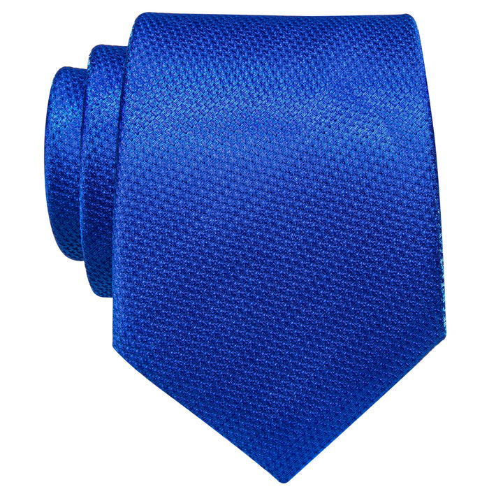 YourTies Royal Blue Solid Silk Necktie with Golden Tie Clip