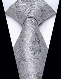 YourTies Light Grey Paisley Tie Men Necktie Floral Brooch Tie Bar Set