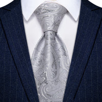 YourTies Light Grey Paisley Tie Men Necktie Floral Brooch Tie Bar Set