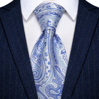 YourTies Sky Blue Paisley Tie Men Necktie Floral Brooch Tie Bar Set