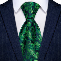 YourTies Green Paisley Tie Blue Men Necktie Floral Brooch Tie Bar Set