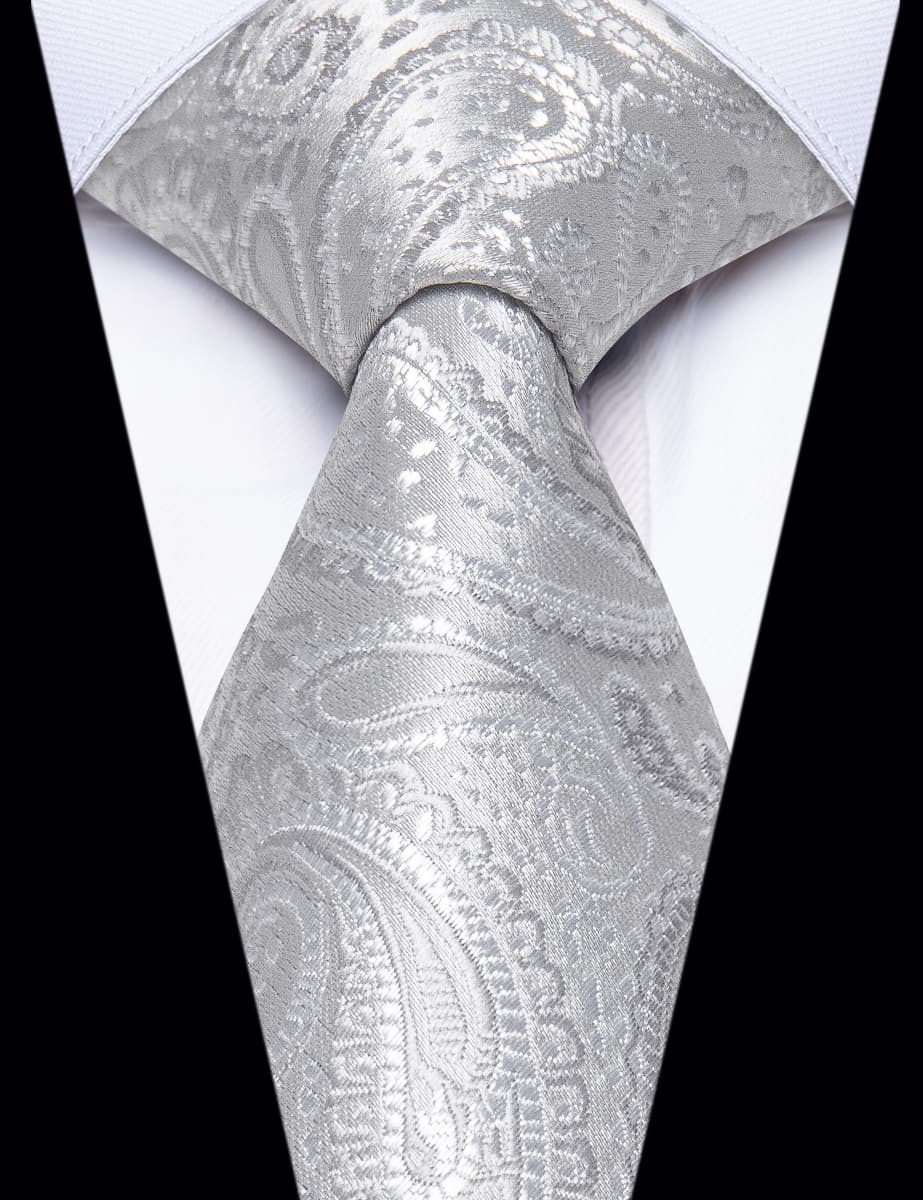 YourTies Light Grey Necktie Paisley Mens Silk Tie Brooch Tie Bar Set