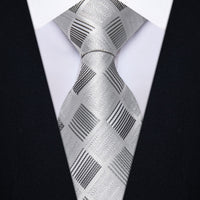 YourTies Grey Silver Checkered Necktie Silk Tie Brooch Tie Bar Set