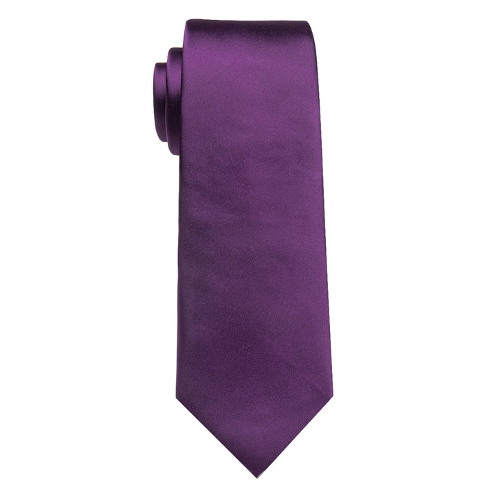 purple solid business necktie