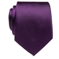 purple solid business necktie